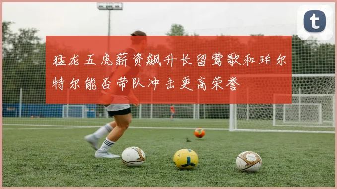 猛龙五虎薪资飙升长留莺歌和珀尔特尔能否带队冲击更高荣誉